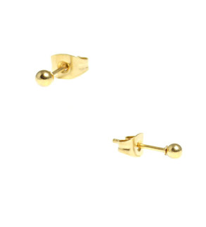 Stainless Steel Earring Gold